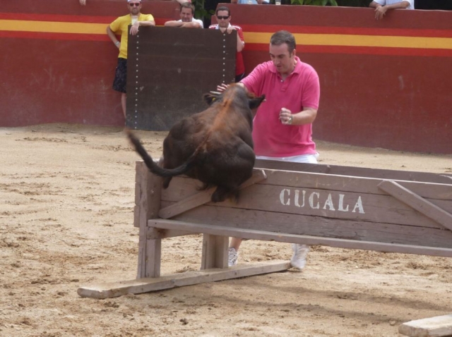  Be careful that it jumps 